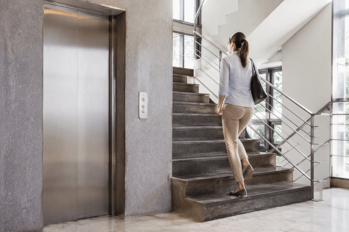 Movement may support brains through multiple pathways